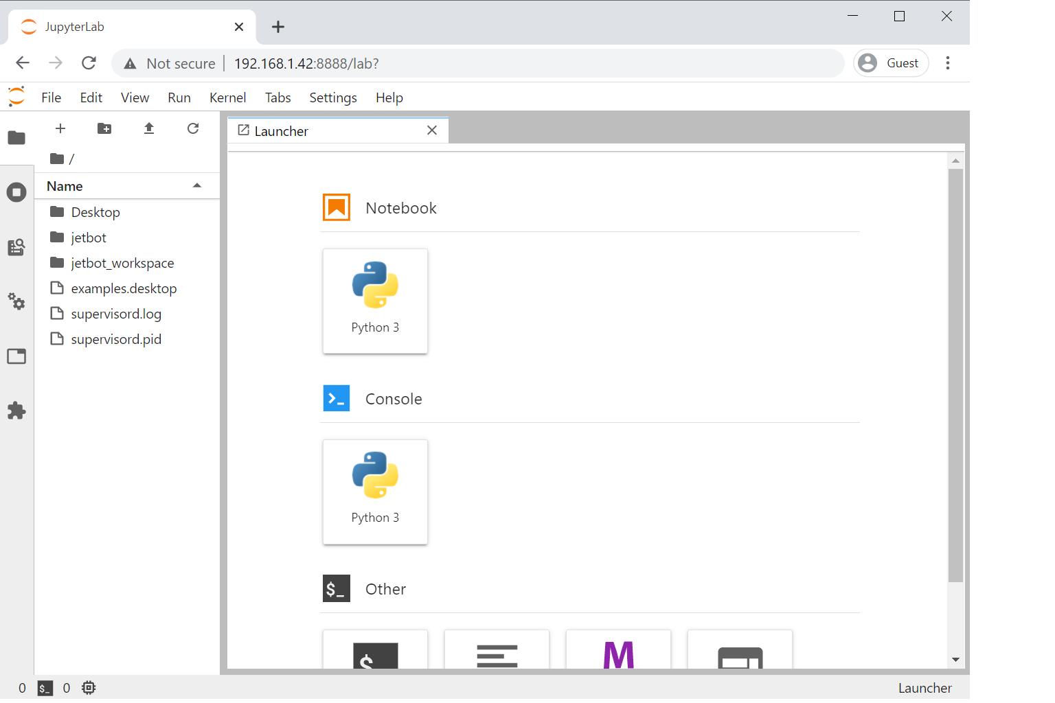 JupyterLab Interface